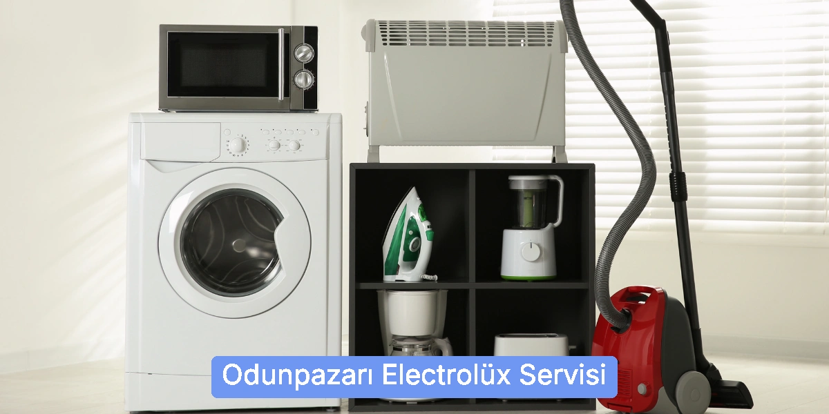 Odunpazarı Electrolüx Servisi