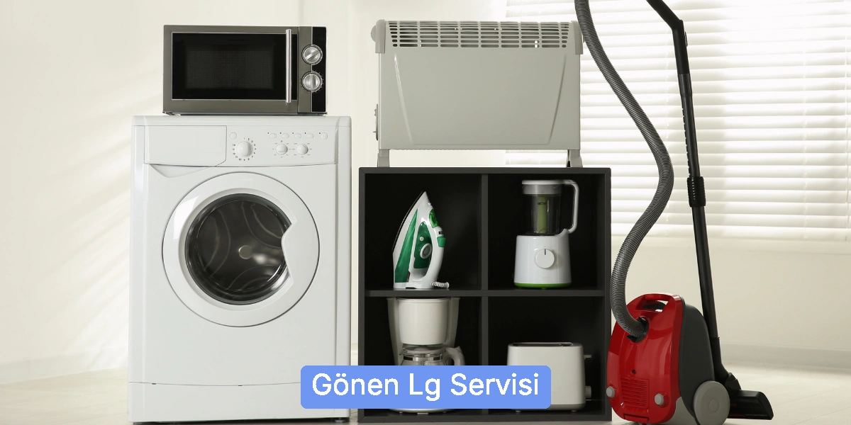 Gönen Lg Servisi