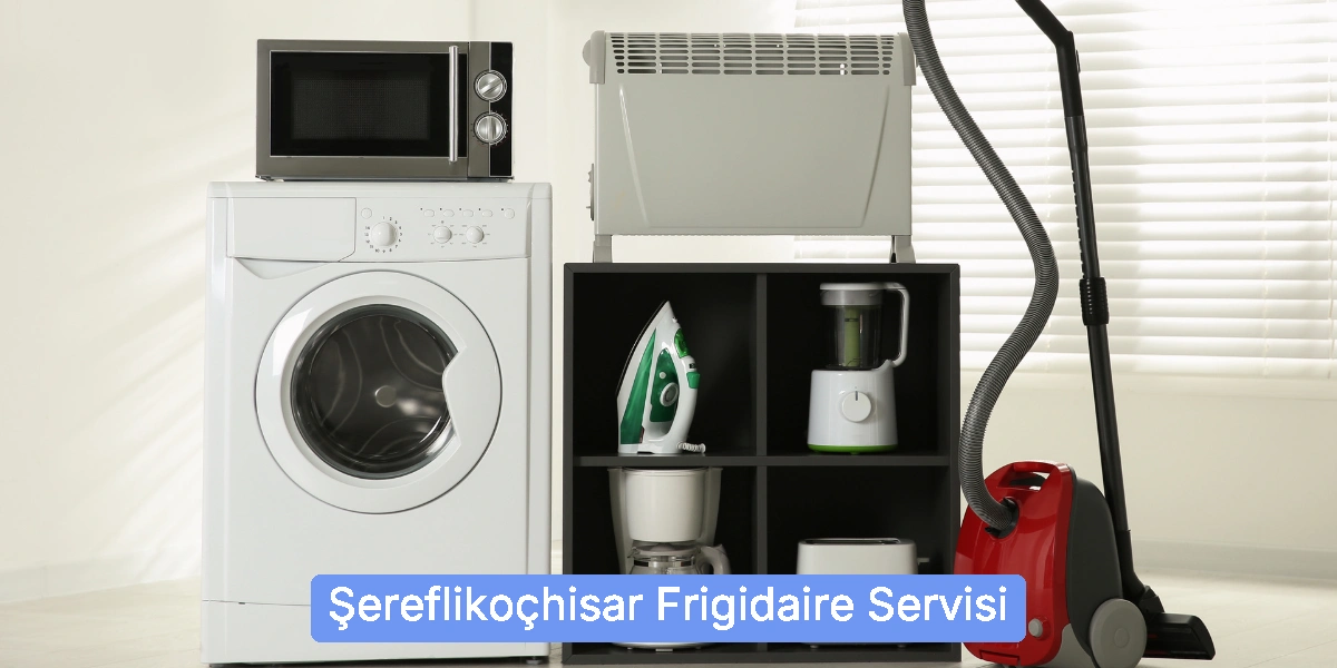 Şereflikoçhisar Frigidaire Servisi