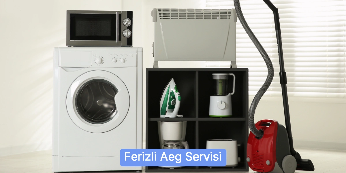 Ferizli Aeg Servisi