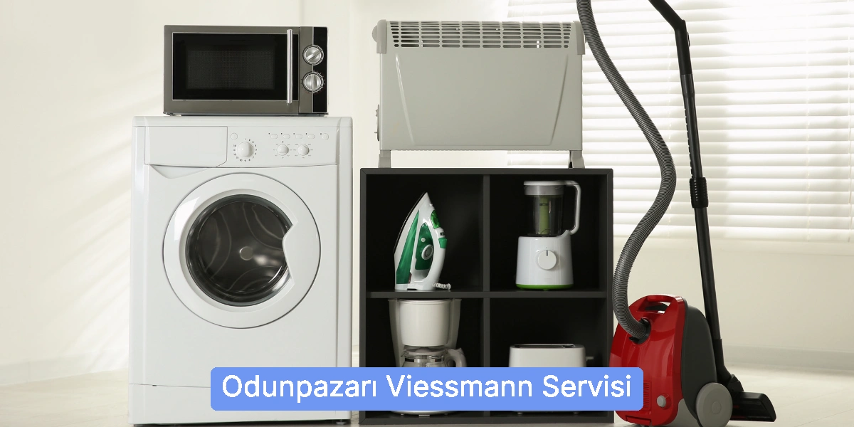Odunpazarı Viessmann Servisi