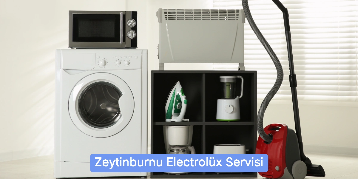 Zeytinburnu Electrolüx Servisi