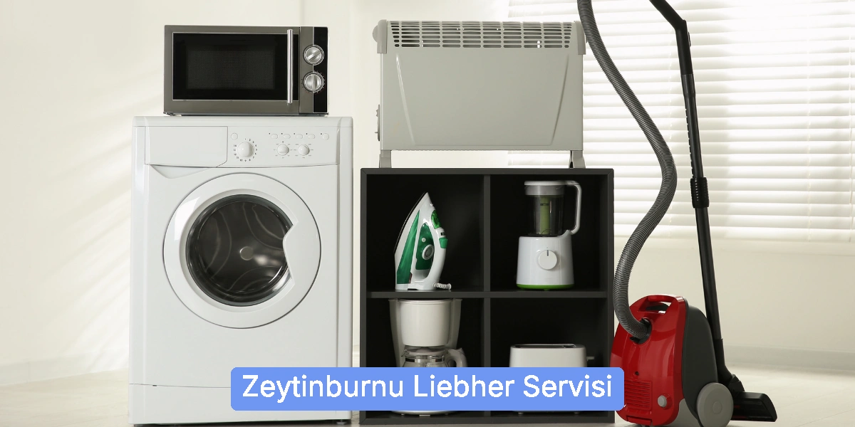 Zeytinburnu Liebher Servisi