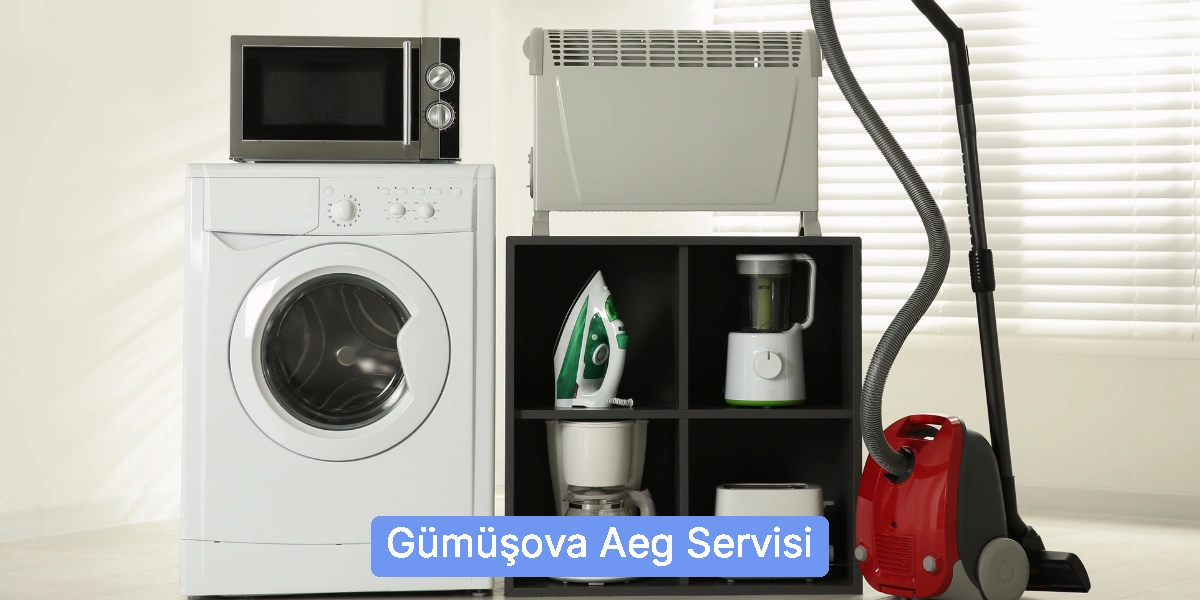 Gümüşova Aeg Servisi