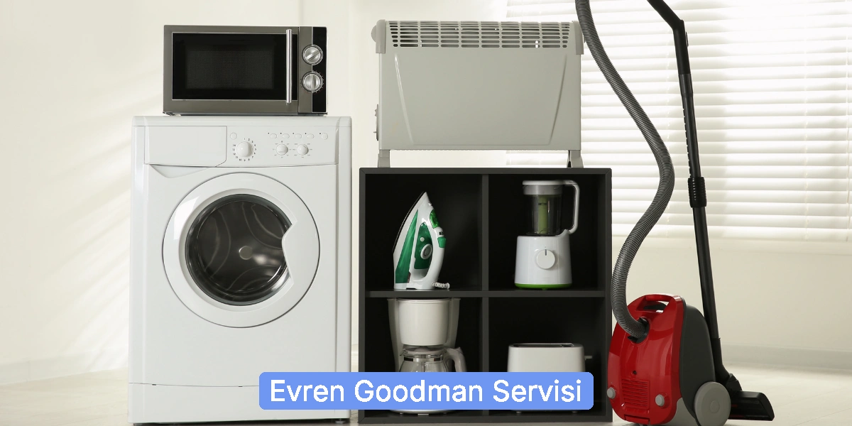 Evren Goodman Servisi