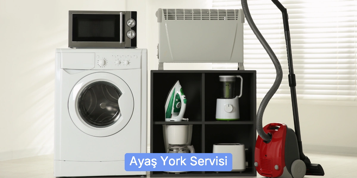 Ayaş York Servisi